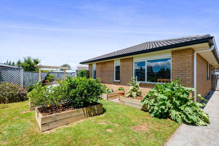 6b Faber Place Inglewood_22