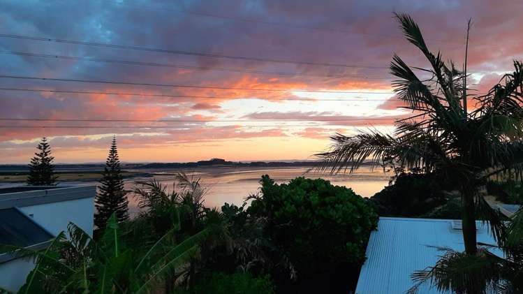 9a Hoskins Avenue Hillsborough_8