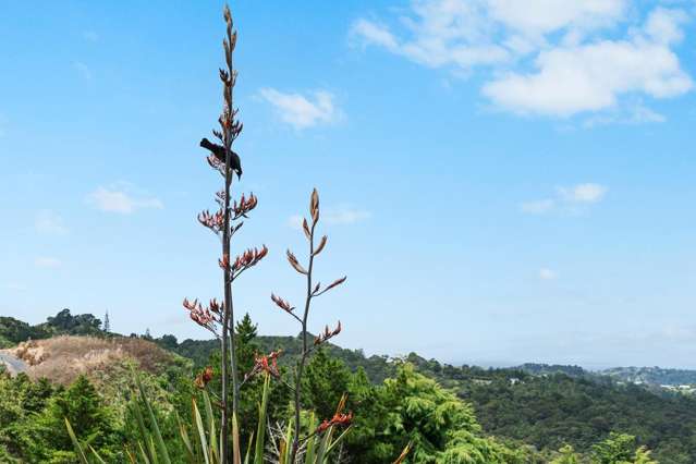 101 Waitokitoki Way Tutukaka_2