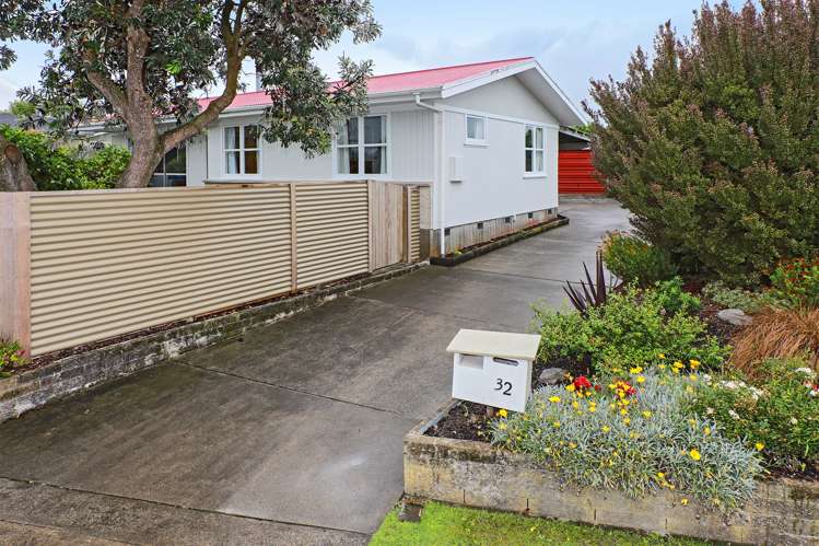 32 Plunket Street Tamatea_13