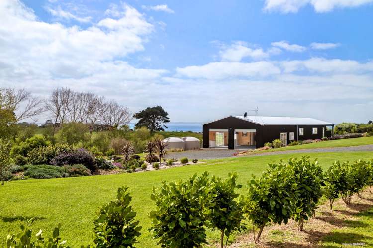 449 Grahams Beach Road Manukau Heads_4