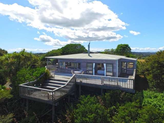 12 Vintage Lane Waiheke Island_4