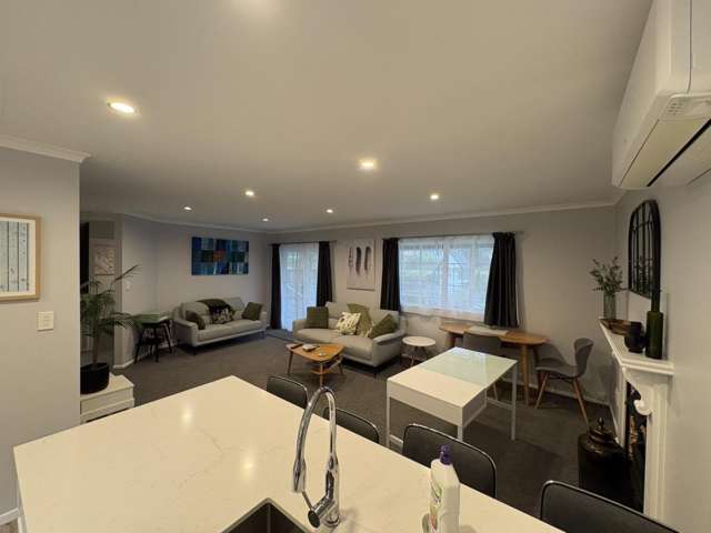 61 Dublin Street Martinborough_4