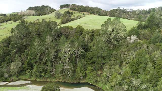 Pakaru Road Kawakawa_3