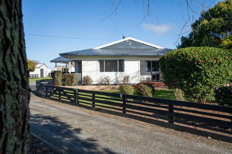 298 Mystery Creek Road Cambridge_3