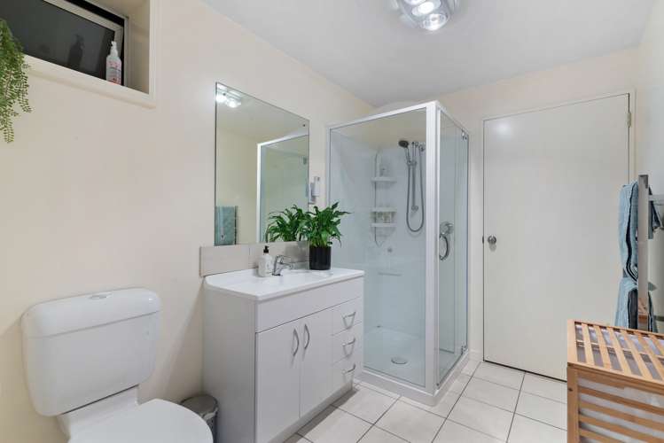 6b Gum Lane Queenstown_11