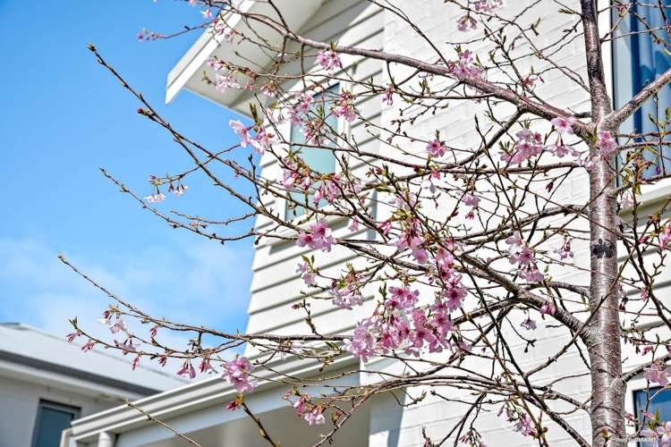 12 Samuel Cassidy Avenue Swanson_19