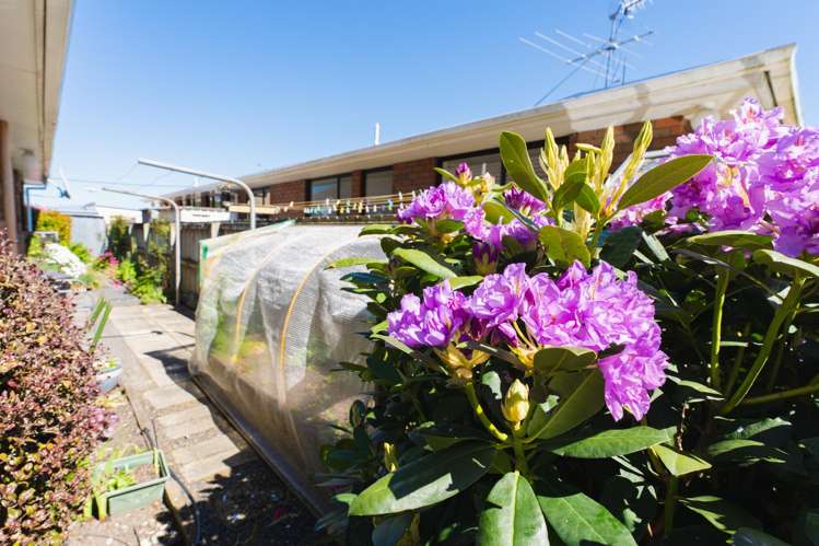 185a Gordon Road Mosgiel_18