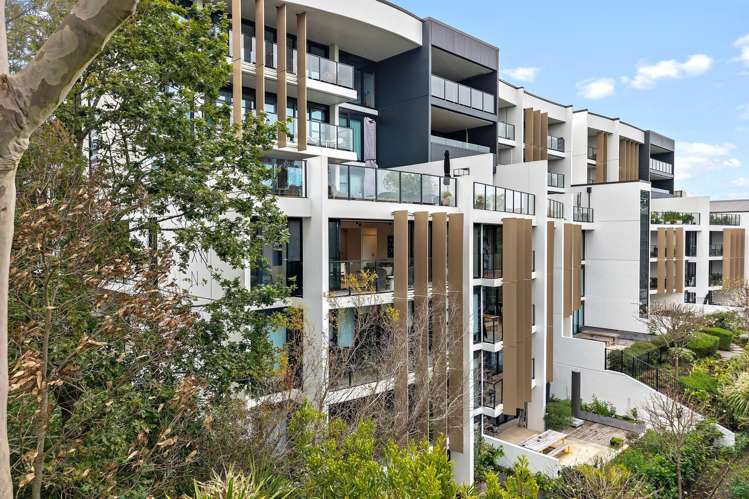 305/8 Kingsland Terrace Kingsland_18