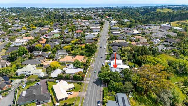 377 Mangorei Road Merrilands_1