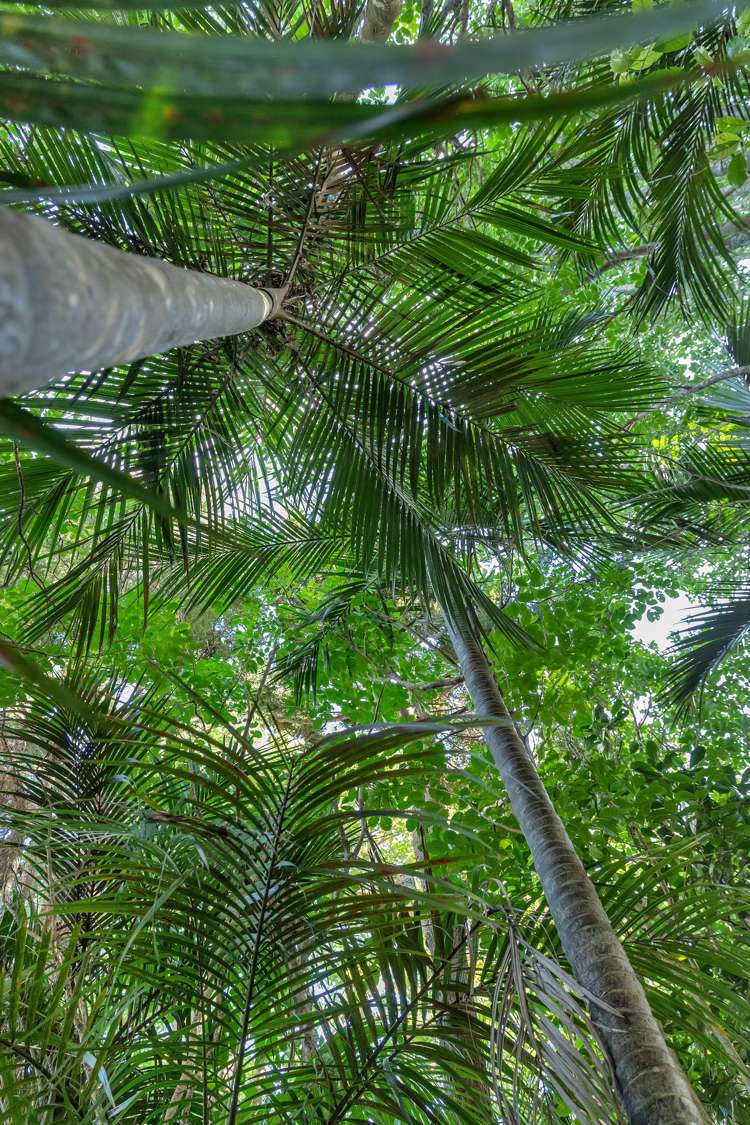 48 Scott Road Tamaterau_14