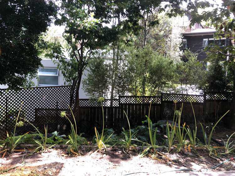 3/15 Brighton Road Parnell_9