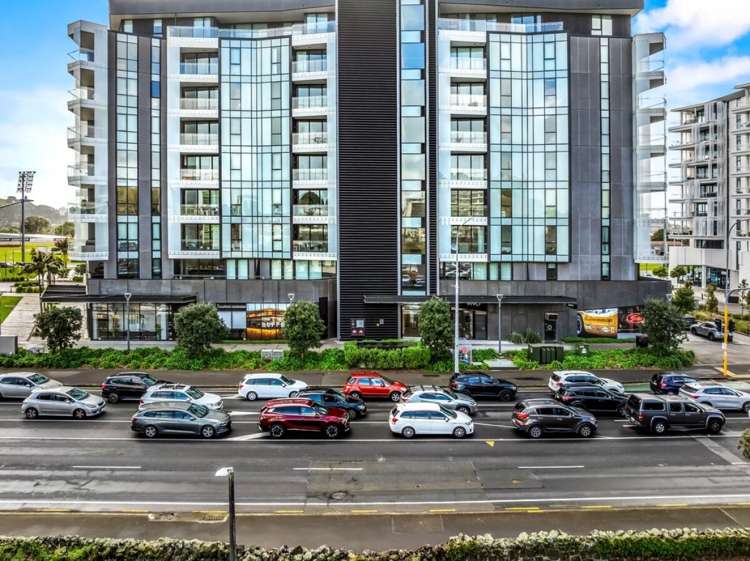 223 Greenlane West Epsom_8