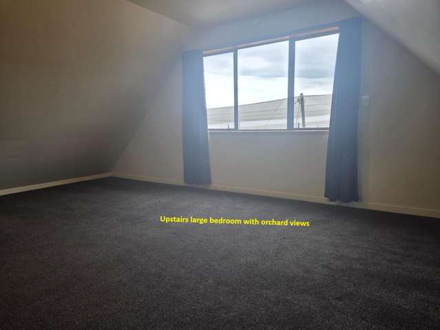 Unit/220 Te Puna Road RD6 11556_4