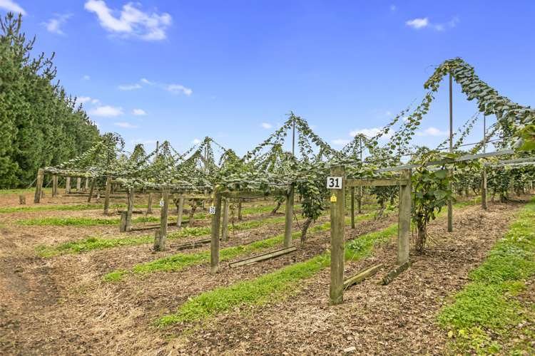 263 Waihi Beach Road Waihi_7