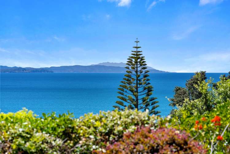 72 Duncansby Road Stanmore Bay_3