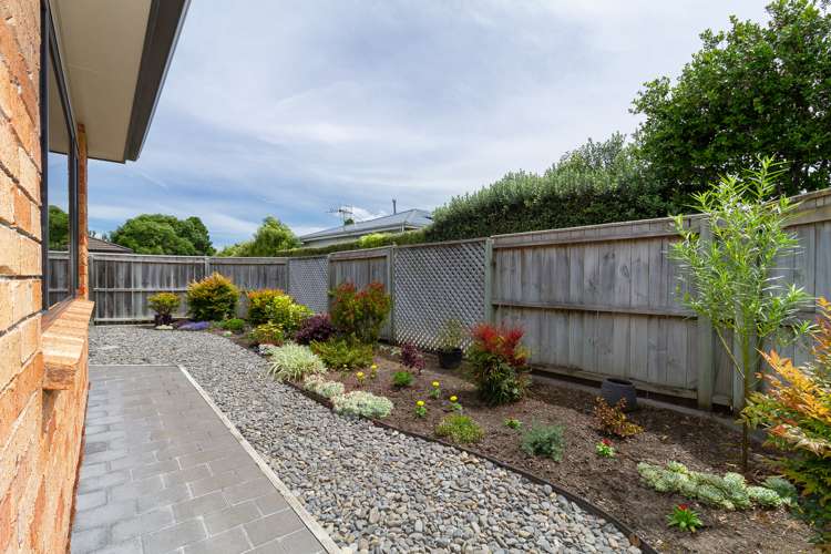 23a White Street Taradale_15