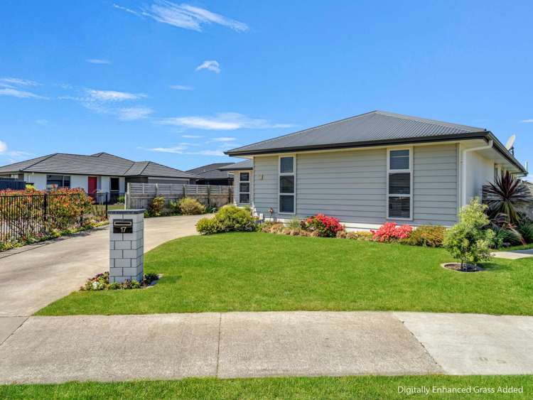 17 Morrell Street Tawhero_21