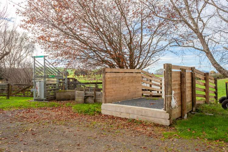 485 Kiwitahi Railway Road Morrinsville_20