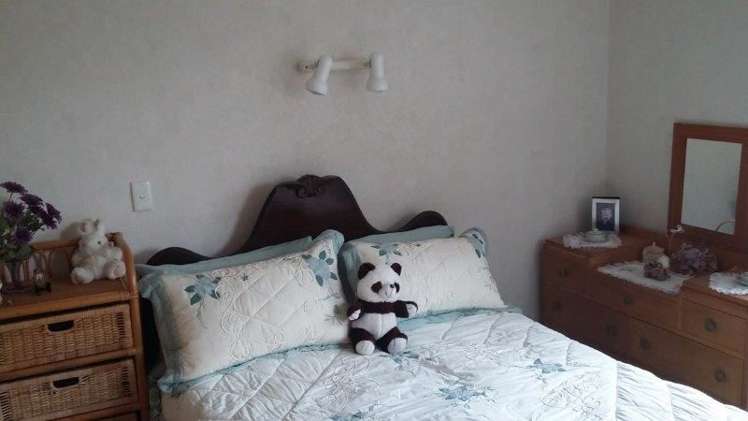 15 Earl Street Te Kuiti_15