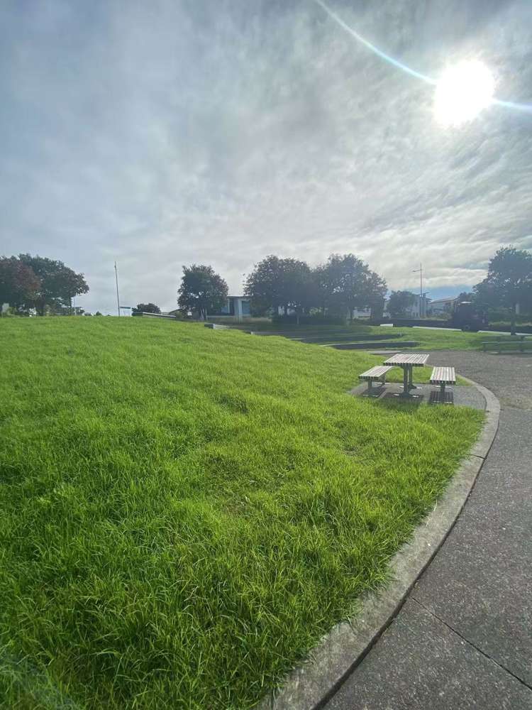 20 Caldera Drive Long Bay_9