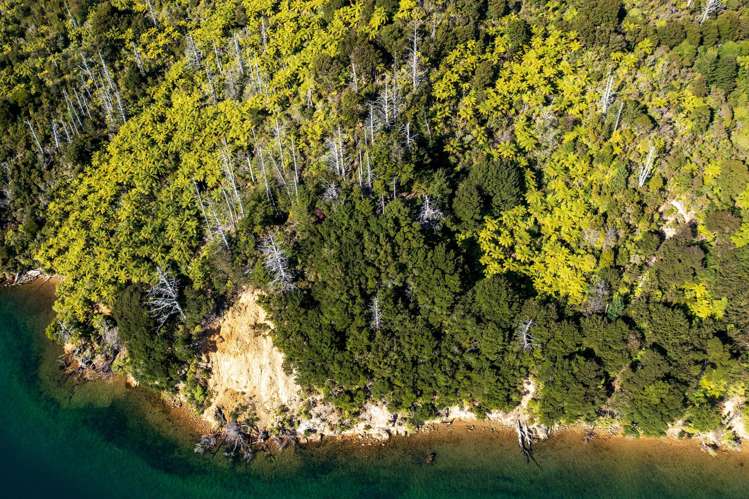 Lot 2 North West Bay Pelorus Sound_12