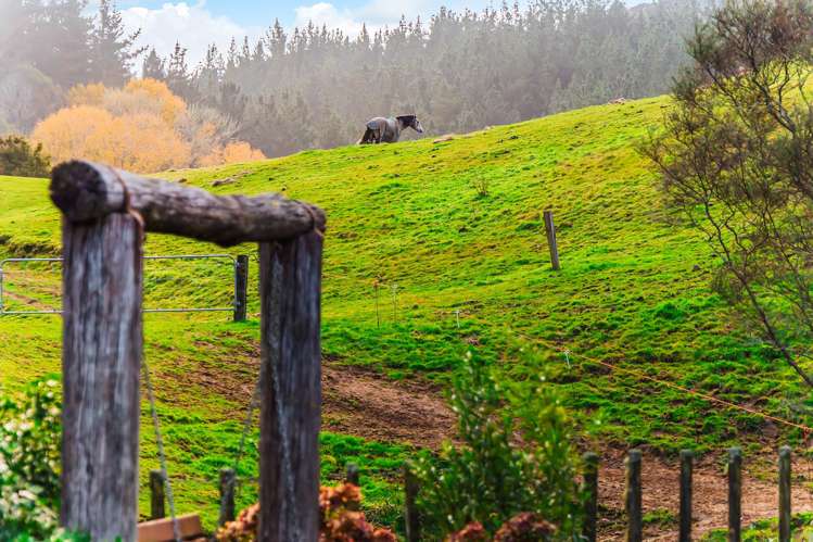 3789 State Highway 4 Ongarue_38