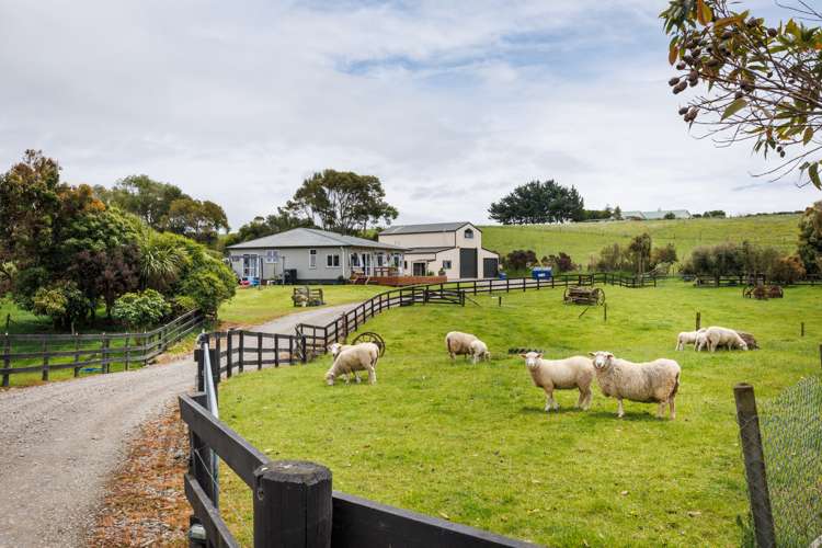 49 Harrisons Line Ashhurst_1