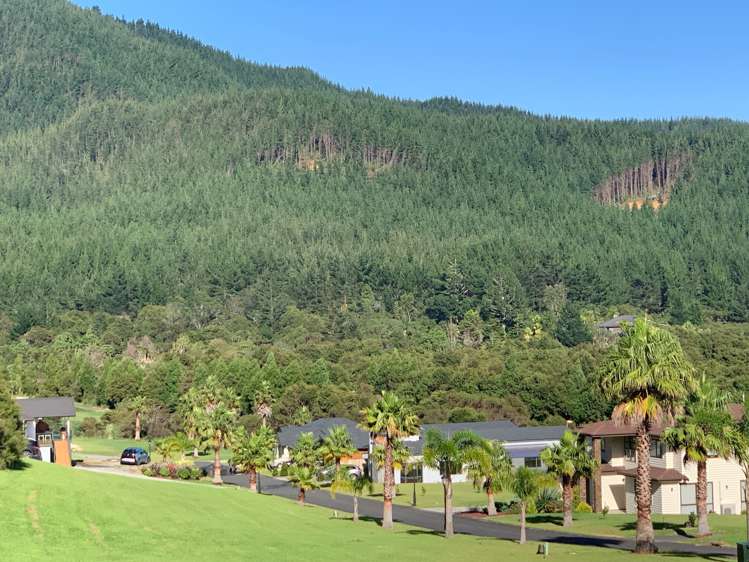 53 Pinehurst Drive Pauanui_11