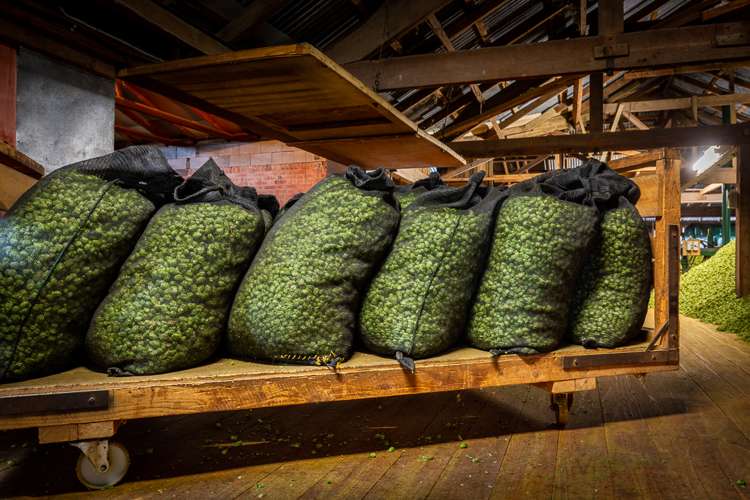 695 Wakefield-Kohatu Highway Wakefield_14