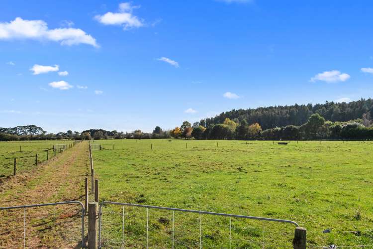 411 Marychurch Road Matangi_11