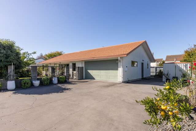 115 Auckland Road Greenmeadows_3