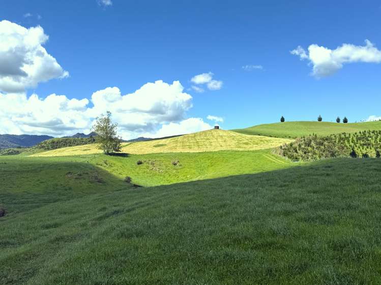 1/1745 Arapuni Road Parawera_23