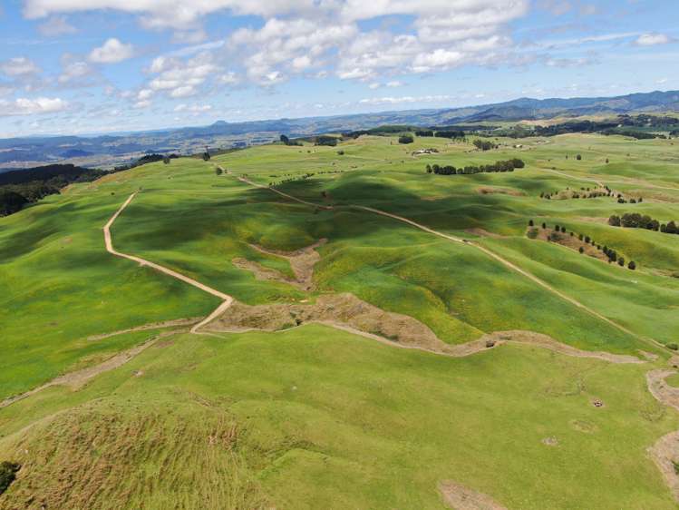 537 Tapuwae Road Benneydale_24