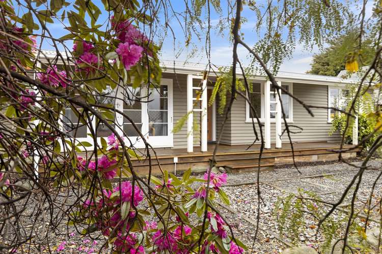 24 Alma Street Renwick_18