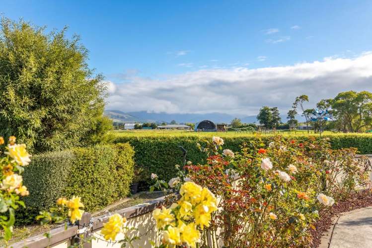 255B Norfolk Road Carterton_27