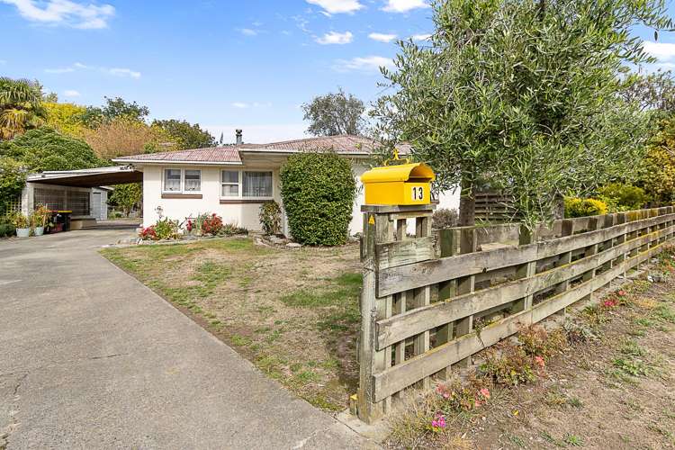 13 Oudenarde Street Renwick_16