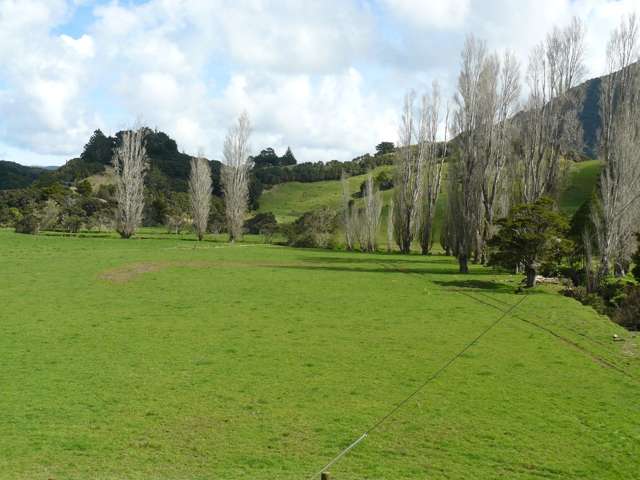 259 Diggers Valley Road Herekino_3