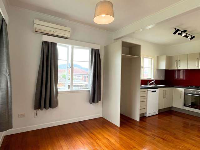 1 Curtis Street Kensington_2