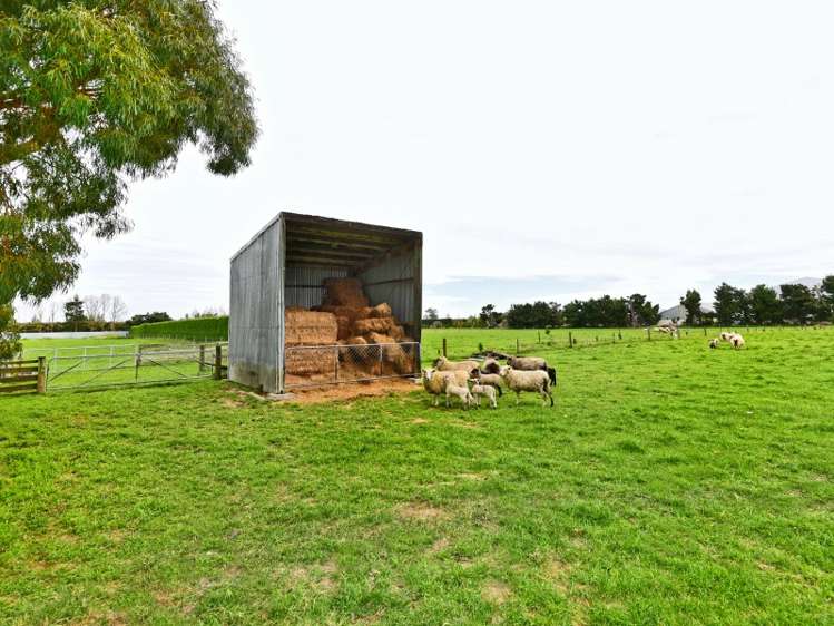 67 Horndon Street Darfield_19