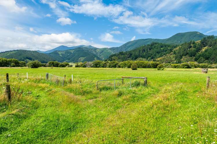 State Highway 1 Koromiko_6