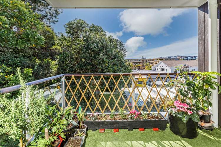 307/19 Bute Road Browns Bay_3