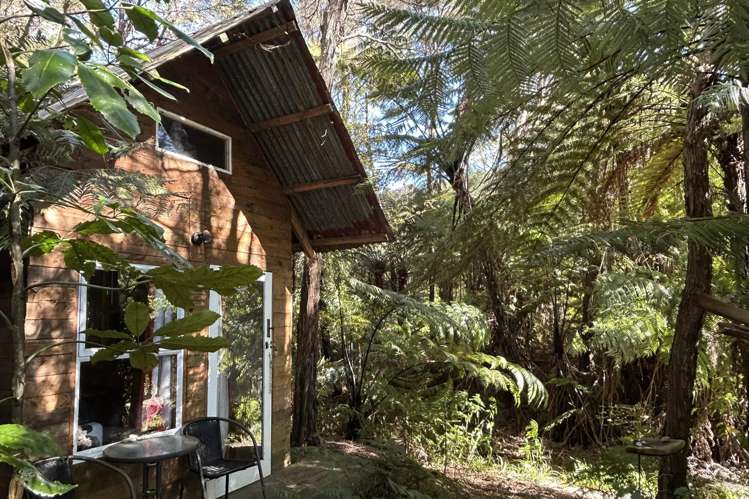 219 Parapara Valley Road Collingwood_12