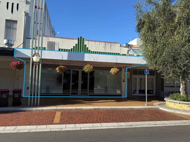 134 Heretaunga Street East Hastings Central_1