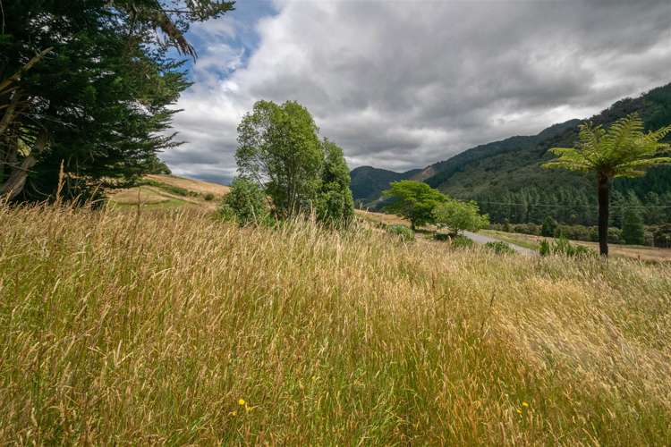 Wakamarina Road Havelock_5