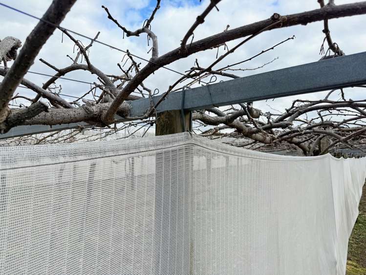 881B Te Matai Road Te Puke_5