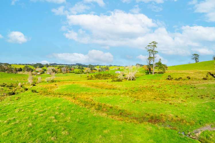 462 Kahikatea Flat Road Waitoki_11