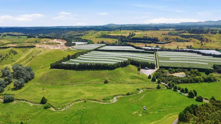 80 Roydon Downs Road Paengaroa_17