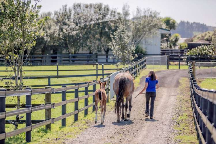 108 Conroy Road Glenbrook_21