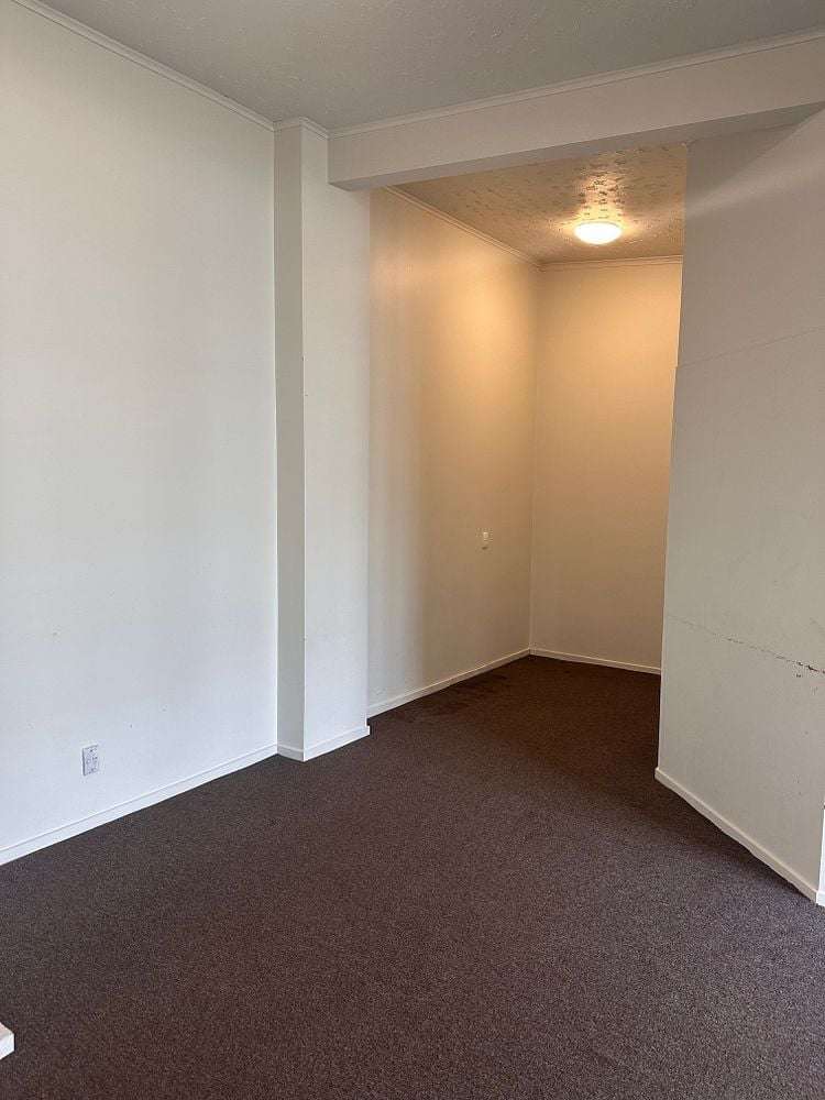 44A Park Road Miramar_2